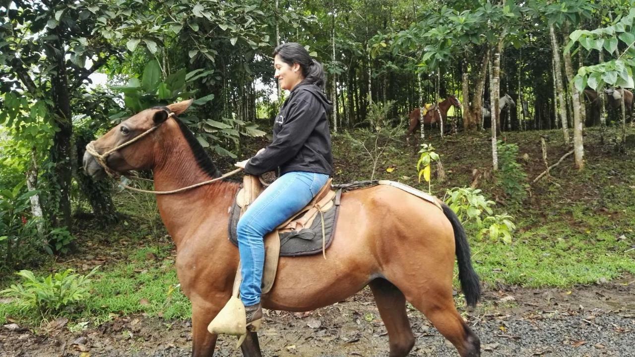 Hotel Rio Celeste Finca L' Etoile Celeste El Achiote Eksteriør bilde