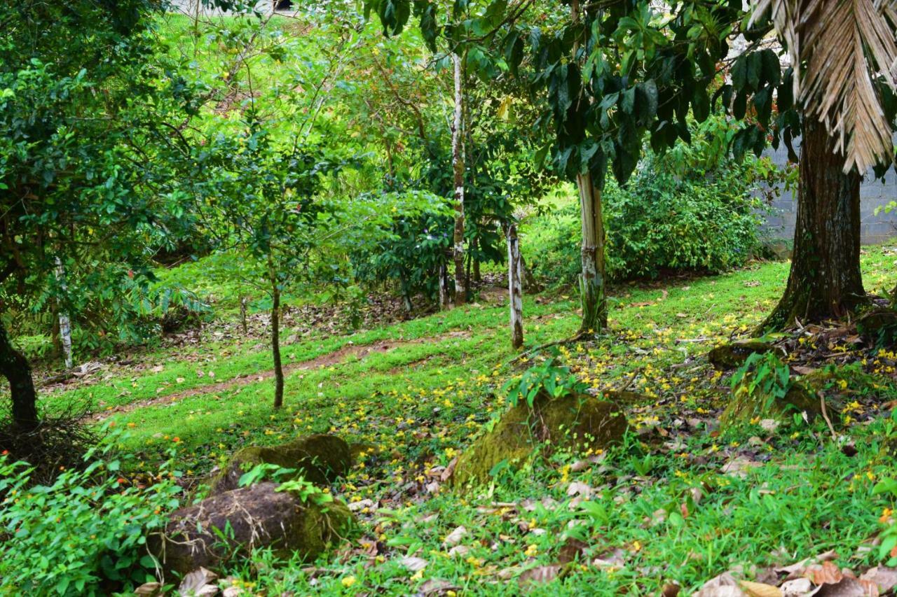 Hotel Rio Celeste Finca L' Etoile Celeste El Achiote Eksteriør bilde